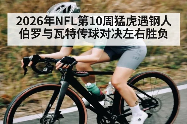 2026年NFL第10周猛虎遇钢人 伯罗与瓦特传球对决左右胜负